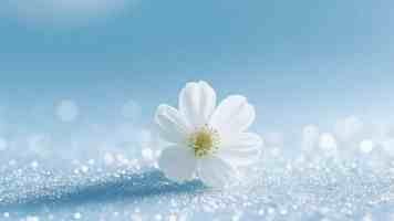 阿里巴巴重新做云的决心，还是被低估了