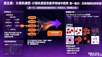 “文胸大王”汇洁股份：高分红、吃老本
